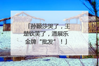 孙颖莎哭了，王楚钦笑了，潘展乐金牌“批发”！