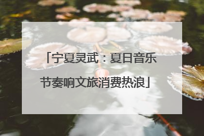 宁夏灵武：夏日音乐节奏响文旅消费热浪