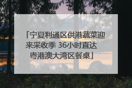 宁夏利通区供港蔬菜迎来采收季 36小时直达粤港澳大湾区餐桌