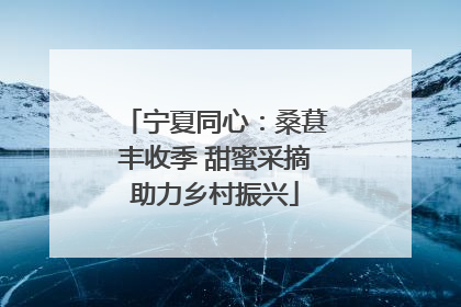 宁夏同心：桑葚丰收季 甜蜜采摘助力乡村振兴