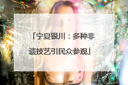 宁夏银川：多种非遗技艺引民众参观