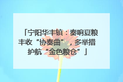 宁阳华丰镇：奏响夏粮丰收“协奏曲”，多举措护航“金色粮仓”