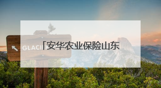 安华农业保险山东分公司科技赋能+双精准 筑牢粮食安全“稳定器”