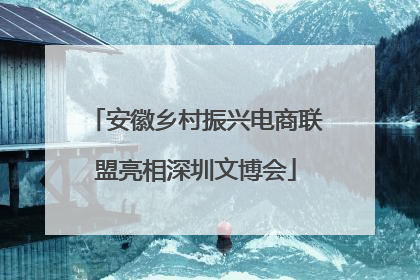 安徽乡村振兴电商联盟亮相深圳文博会