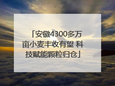 安徽4300多万亩小麦丰收有望 科技赋能颗粒归仓