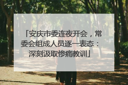 安庆市委连夜开会，常委会组成人员逐一表态：深刻汲取惨痛教训