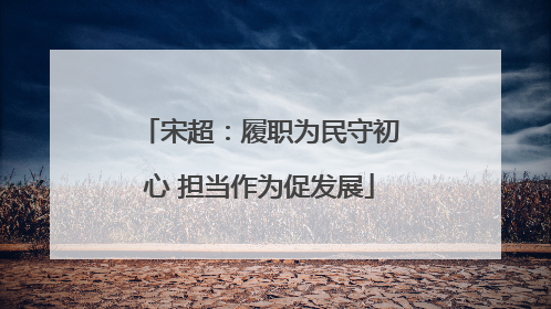 宋超：履职为民守初心 担当作为促发展