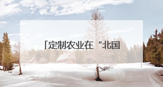 定制农业在“北国粮都”茁壮生长！企业：用算力指导生产，扁平化管理种地