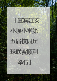 宜宾江安小坝小学第五届校园足球联赛顺利举行