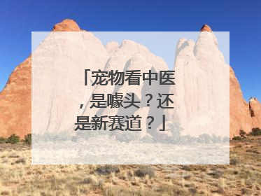 宠物看中医，是噱头？还是新赛道？