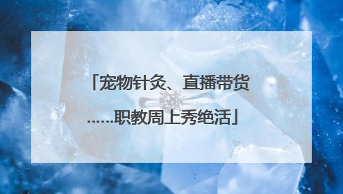 宠物针灸、直播带货……职教周上秀绝活