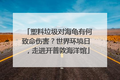 塑料垃圾对海龟有何致命伤害？世界环境日，走进开普敦海洋馆
