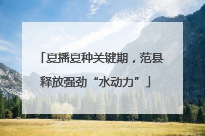 夏播夏种关键期，范县释放强劲“水动力”