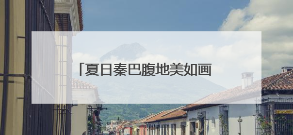 夏日秦巴腹地美如画 朱鹮在稻田里飞舞嬉戏