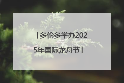 多伦多举办2025年国际龙舟节
