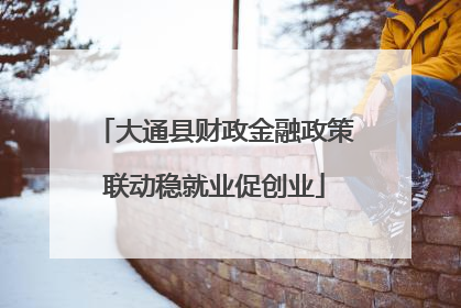 大通县财政金融政策联动稳就业促创业