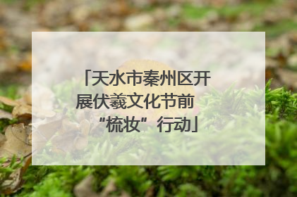天水市秦州区开展伏羲文化节前 “梳妆”行动