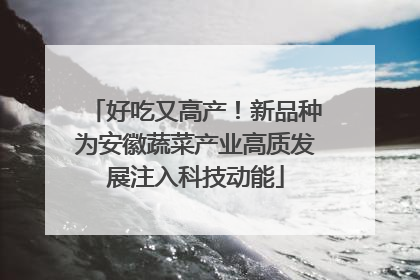 好吃又高产！新品种为安徽蔬菜产业高质发展注入科技动能