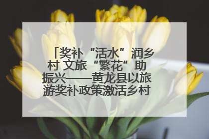 奖补“活水”润乡村 文旅“繁花”助振兴——黄龙县以旅游奖补政策激活乡村振兴新动能