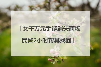 女子万元手链遗失商场 民警2小时帮其找回