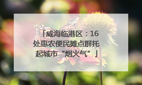 威海临港区：16处惠农便民摊点群托起城市“烟火气”