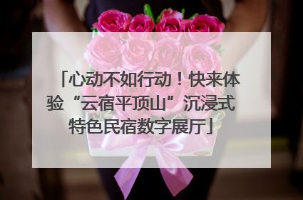 心动不如行动！快来体验“云宿平顶山”沉浸式特色民宿数字展厅