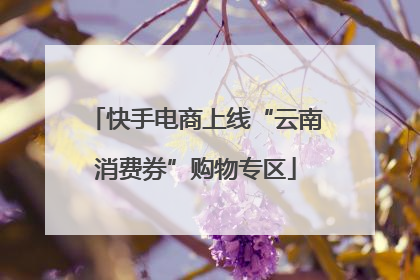 快手电商上线“云南消费券”购物专区