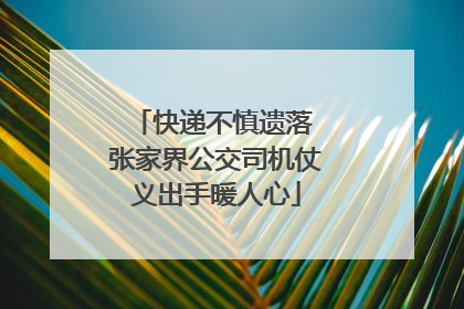 快递不慎遗落 张家界公交司机仗义出手暖人心