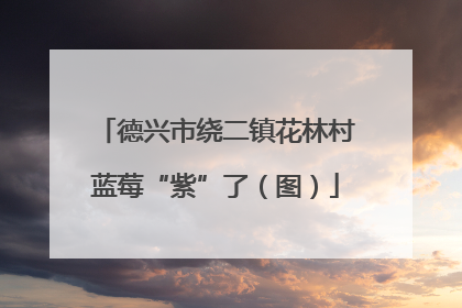 德兴市绕二镇花林村蓝莓“紫”了（图）