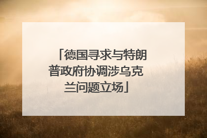 德国寻求与特朗普政府协调涉乌克兰问题立场