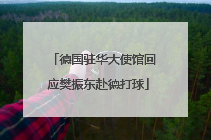 德国驻华大使馆回应樊振东赴德打球