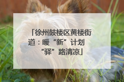 徐州鼓楼区黄楼街道：暖“新”计划 “驿”路清凉
