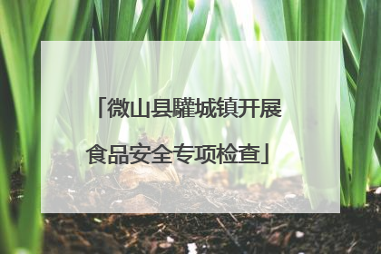 微山县驩城镇开展食品安全专项检查