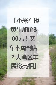 小米车模黄牛加价300元！实车本周到店？大湾区车展将亮相
