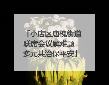 小店区唐槐街道联席会议解难题 多元共治保平安