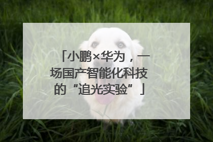 小鹏×华为，一场国产智能化科技的“追光实验”