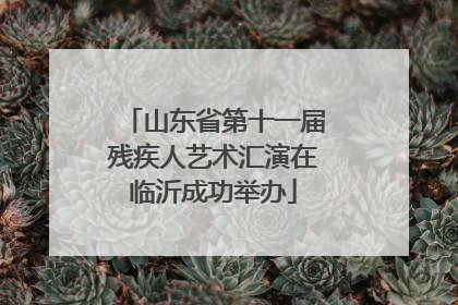山东省第十一届残疾人艺术汇演在临沂成功举办