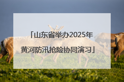 山东省举办2025年黄河防汛抢险协同演习