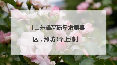 山东省高质量发展县区，潍坊3个上榜