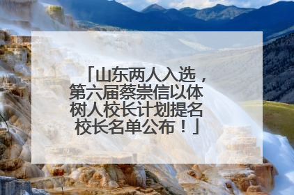 山东两人入选，第六届蔡崇信以体树人校长计划提名校长名单公布！