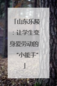 山东乐陵：让学生变身爱劳动的“小能手”
