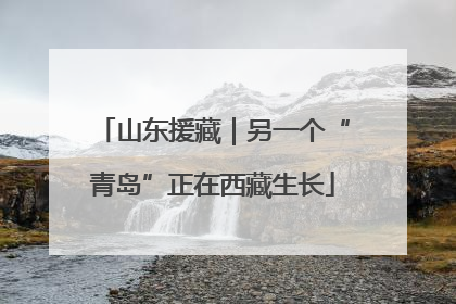 山东援藏｜另一个“青岛”正在西藏生长