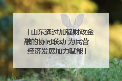 山东通过加强财政金融的协同联动 为民营经济发展加力赋能