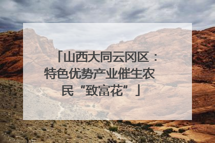 山西大同云冈区：特色优势产业催生农民“致富花”