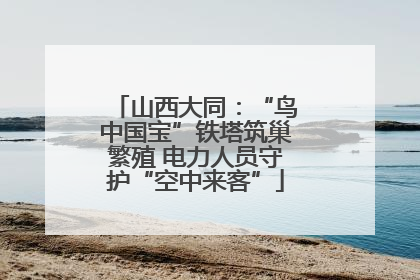 山西大同：“鸟中国宝”铁塔筑巢繁殖 电力人员守护“空中来客”