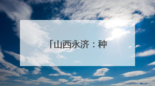 山西永济：种粮大户收获忙