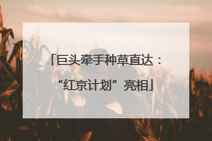 巨头牵手种草直达：“红京计划”亮相