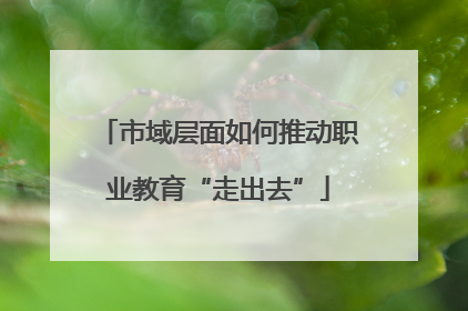 市域层面如何推动职业教育“走出去”