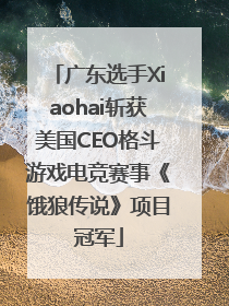广东选手Xiaohai斩获美国CEO格斗游戏电竞赛事《饿狼传说》项目冠军