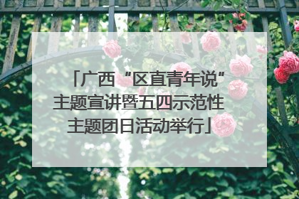 广西“区直青年说”主题宣讲暨五四示范性主题团日活动举行